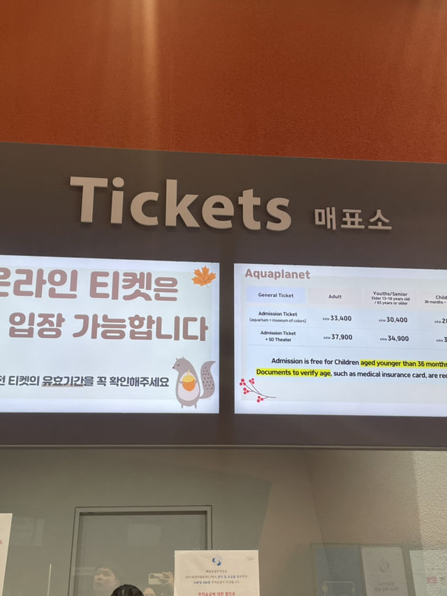 벨루가를 만날 수 있는 여수여행 어때요?