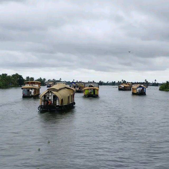 🌅 Awesome Views of Alleppey – A Picture-Perfect Paradise! 🚤🌴