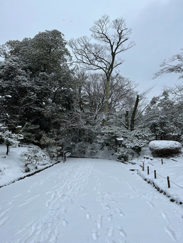 【金沢】幻想的な雪景色の兼六園