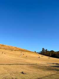 大阪行程|周邊一日遊|春日野園地與若草山