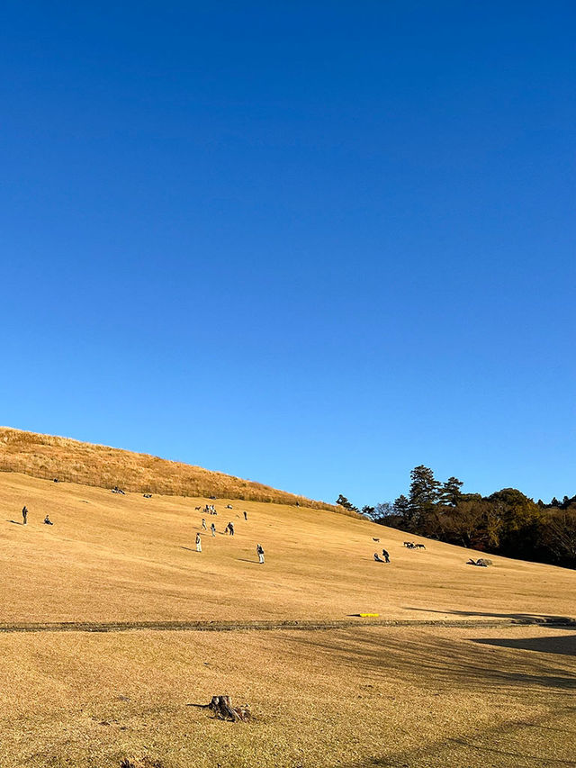 大阪行程|周邊一日遊|春日野園地與若草山 大阪行程|周邊一日遊|春日野園地與若草山