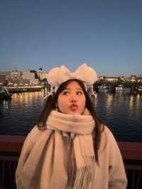Disney Sea มีอะไรบ้าง จองตั๋วยังไง