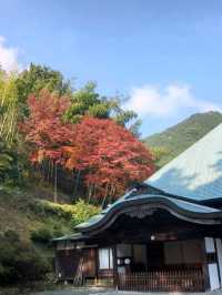 自然に溶け込む県下随一の紅葉の名所