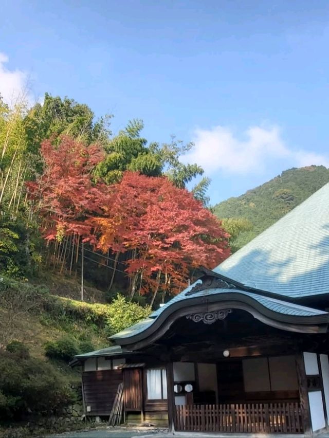 自然に溶け込む県下随一の紅葉の名所