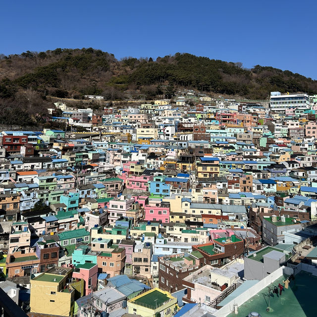 【🇰🇷：釜山】絶景が見えるカフェ☕️