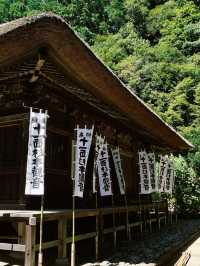 景點推薦：東京近郊・鎌倉報國寺——靜謐竹林中的禪意世界