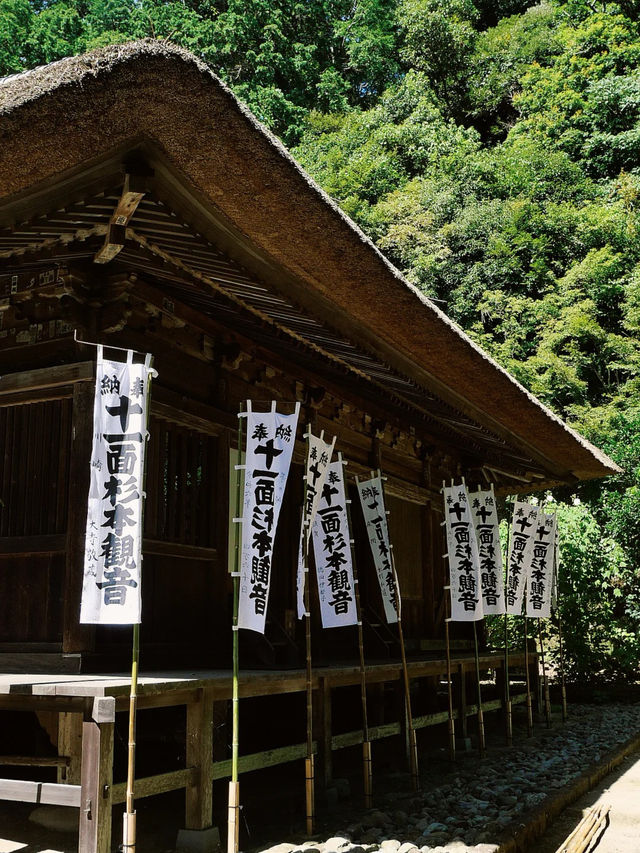 景點推薦：東京近郊・鎌倉報國寺——靜謐竹林中的禪意世界