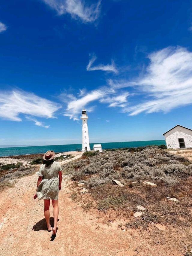 🌊 Discover the Charm of Port Neill, South Australia 🇦🇺
