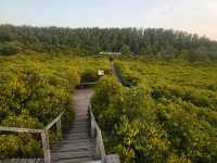 ทุ่งโปรงทองระยอง