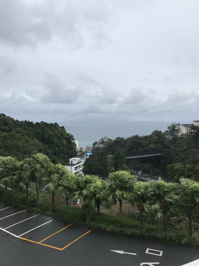 【伊豆🪼】熱川バナナワニ園に行ってみた😆