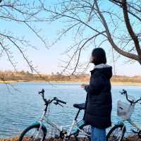 1박2일로 다녀오는 속초 바다🌊