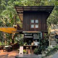 รวมคาเฟ่ธรรมชาติ ที่เชียงใหม่ 🏞️