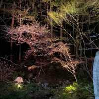 心身を癒す贅沢な隠れ『家坂聖・玉樟園』
