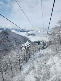 Nozawa Onsen Snow Resort