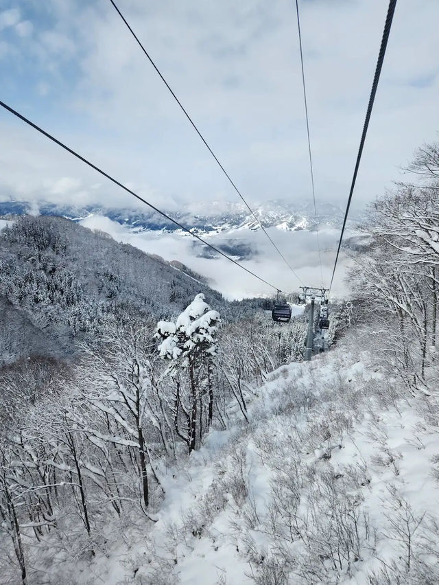 Nozawa Onsen Snow Resort