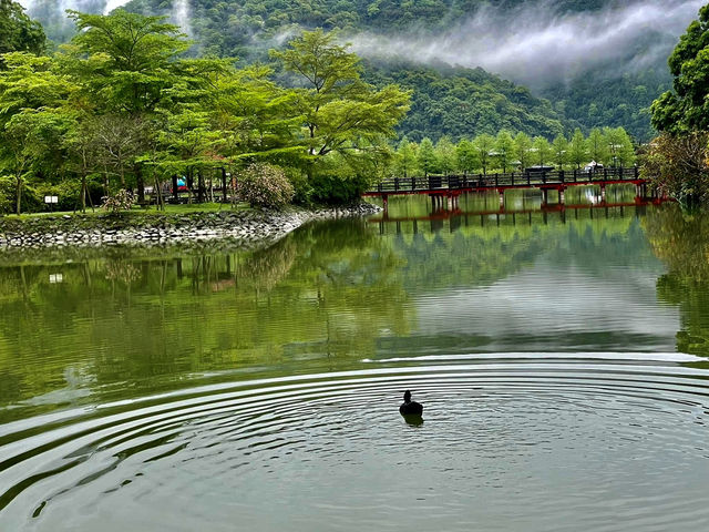 宜蘭景點（梅花湖+羅東林業文化園區+望龍埤）ㄧ日遊
