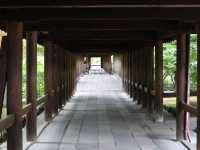 Serene Beauty at Tofukuji: A Walk Through Kyoto’s Timeless Temple