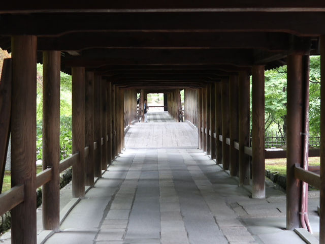 Serene Beauty at Tofukuji: A Walk Through Kyoto’s Timeless Temple