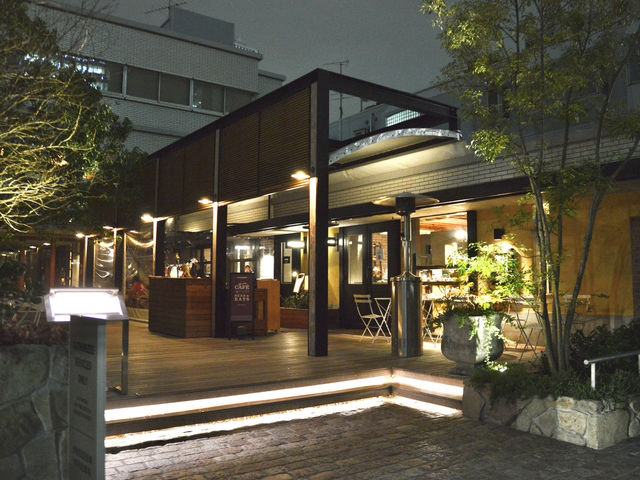 Chill Café in Aoyama – Crisscross🥞