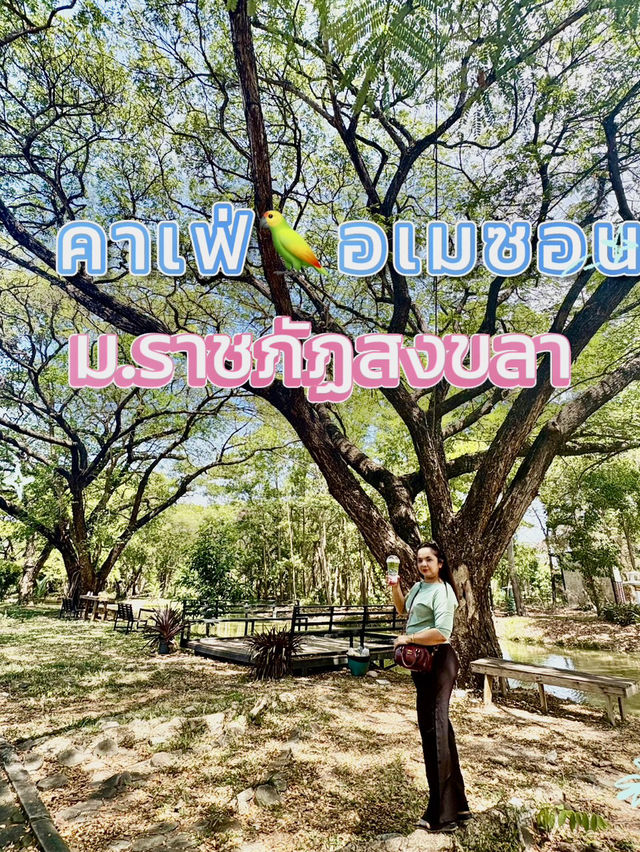 หลงป่าคาเฟ่🌲 กลางเมือง สงขลา