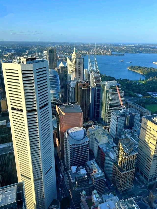 360° overlooking the breathtaking Sydney cityscape on The Sydney Tower Eye. 