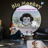 Blu Monkey Hub & Hotel Bangtao Beach Phuket✨