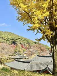 🇰🇷가을에 떠나본 울긋불긋 강화도 전등사🍂🍁