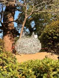 尾道｜到貓之細道小路探險 貓神社、貓咖啡像瀨戶內藝術節般的老街體驗