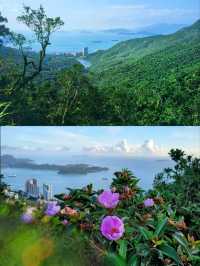 Victoria Peak Hiking, an amazing experience combining nature, history & stunning views! 