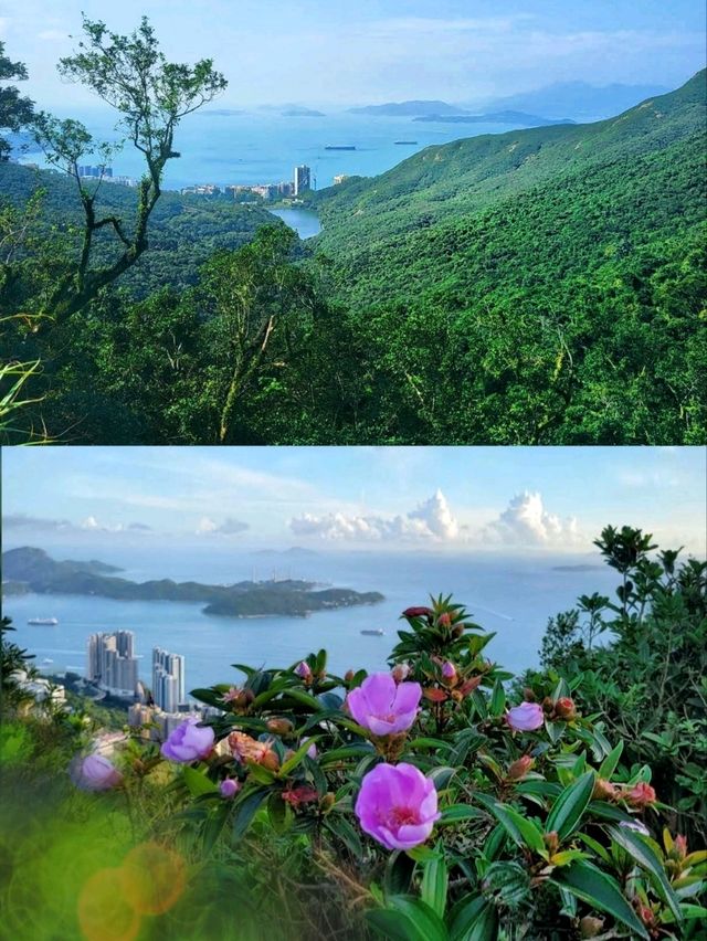 Victoria Peak Hiking, an amazing experience combining nature, history & stunning views! 