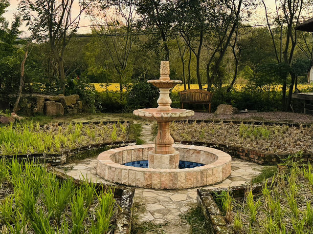 A Serene Retreat at Wind Valley Natural Farm, Hefei 🌸