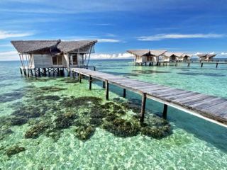 "Nirvana Eco Resort: A Sanctuary of Serenity and Sustainability"