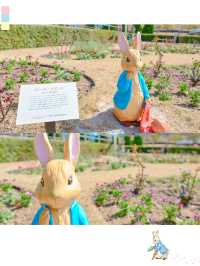 ピーターラビットに会えちゃうスポット🐰🥕📗🫧