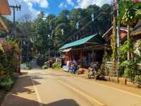 Pang Ung Camp Site - ลานกางเต็นท์ปางอุ๋ง