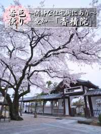 【愛知】行かなきゃ損‼️カメラ好きの憧れ✨額縁みたいな絶景🌸