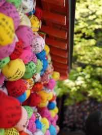 【京都×春旅】カラフルで人気のフォトスポット！