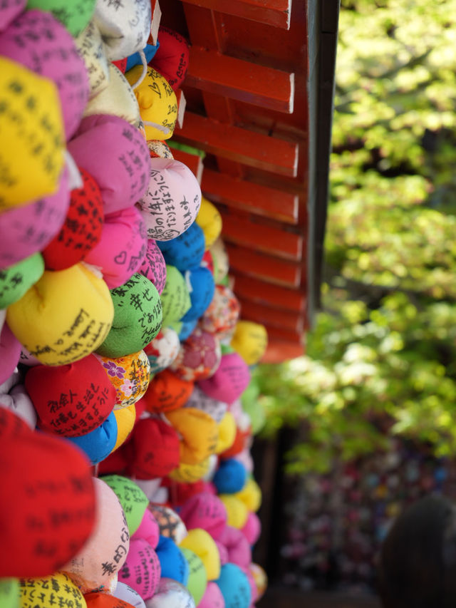 【京都×春旅】カラフルで人気のフォトスポット！