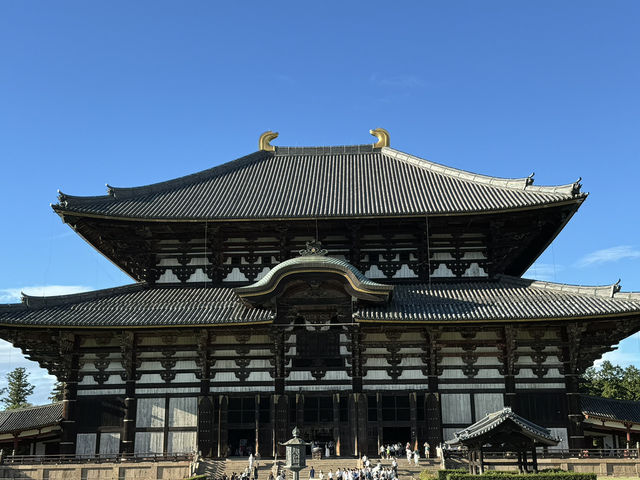 Grand mystical and aesthetic gates 