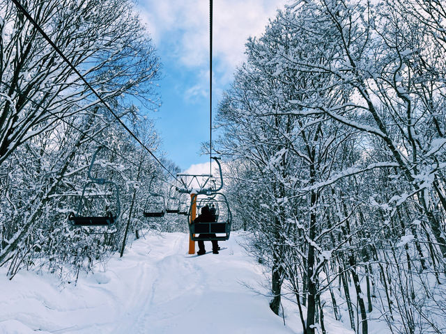 【極上パウダー】コスパ最強！カムイスキーリンクスで大満足❄️