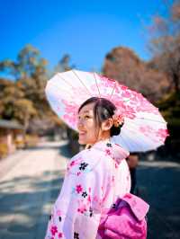 The beauty of Japan