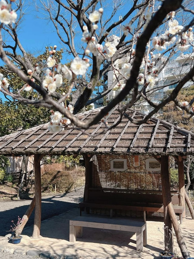 Spring Outing: Mukojima Hyakkaen Garden🌸