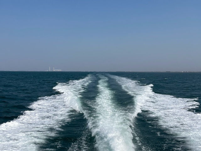 【アートと自然が融合する離島！「佐久島」でのんびり島旅🌊🎨】