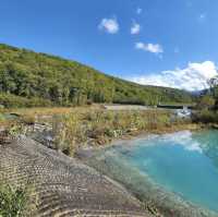 【北海道】🇯🇵 白金青い池
