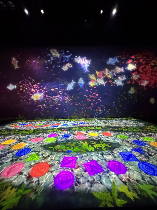 光影實驗室Team Lab: 治癒人心的希望星光 光影實驗室Team Lab: 治癒人心的希望星光