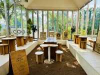 Specialty coffee at Single origin Store