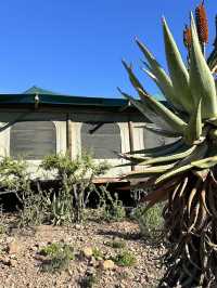 A perfect spring tent in South Africa 