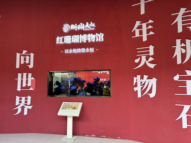 **🌊【廈門新晉網紅打卡】珊瑚大叔紅珊瑚博物館：探秘海底珍寶，感受海洋藝術魅力！✨**  