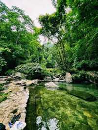 中國雲南騰衝著名景點高黎貢山自然保護區徒步旅行攻略，適合打卡拍照📸