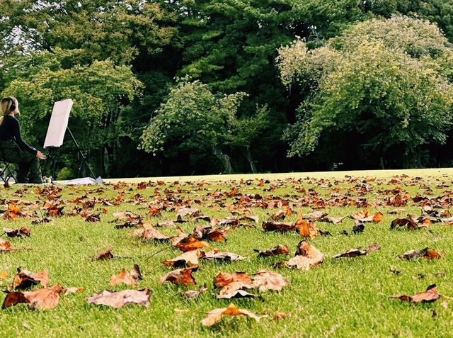 日本東京著名公園景點：新宿御苑，適合打卡拍照📸