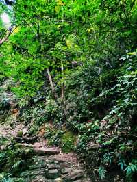 中國雲南騰衝著名景點高黎貢山自然保護區徒步旅行攻略，適合打卡拍照📸